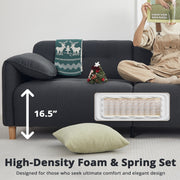 79" 2-Seater Modern Couch, Apartment Lounge,Dark Grey