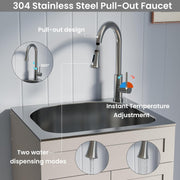 ANCTOR 24 Inch Laundry Sink with Cabine