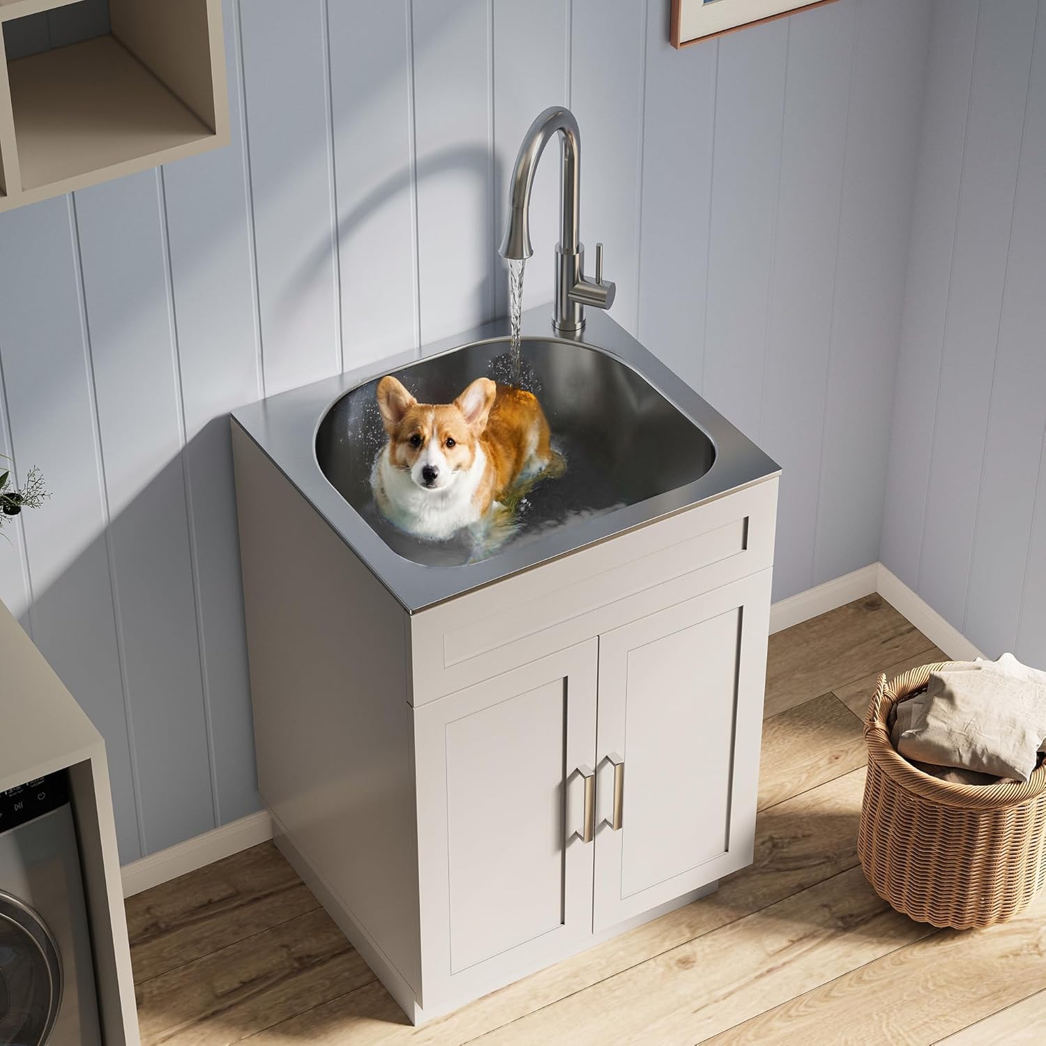 ANCTOR 24 Inch Laundry Sink with Cabine